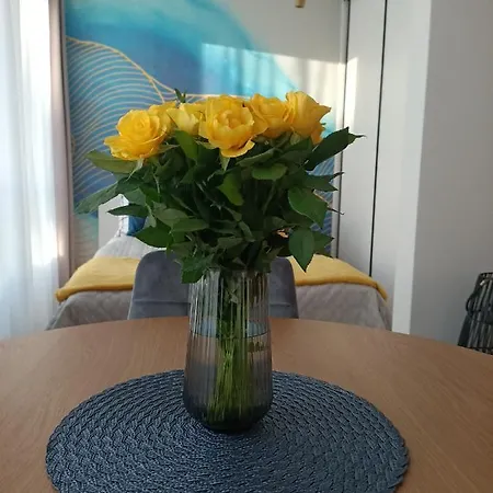 Maris - śródmieście - Klimatyzacja - Prywatny Parking Apartament Gdynia